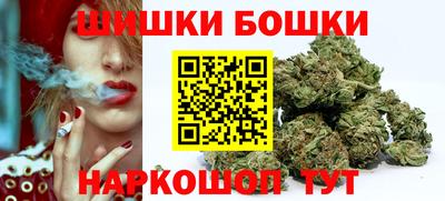 apvp Новодвинск