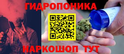 мдпв Новокубанск