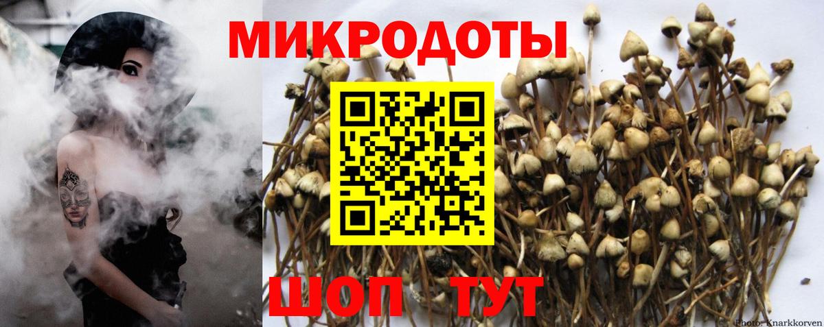 Галлюциногенные грибы MAGIC MUSHROOMS  Вход с VPN  Туапсе 